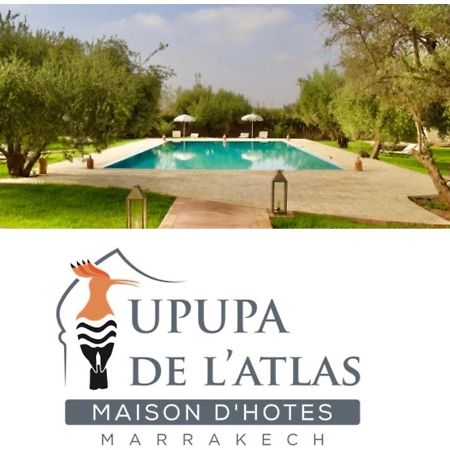 Upupa De L'Atlas Ouled el guerne Exterior foto
